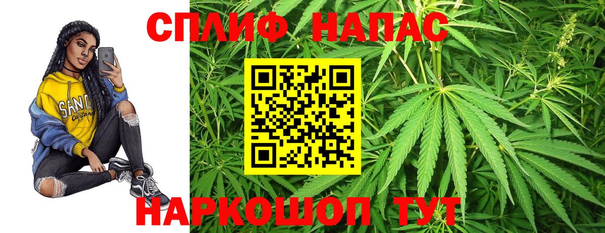Каннабис индика Керчь